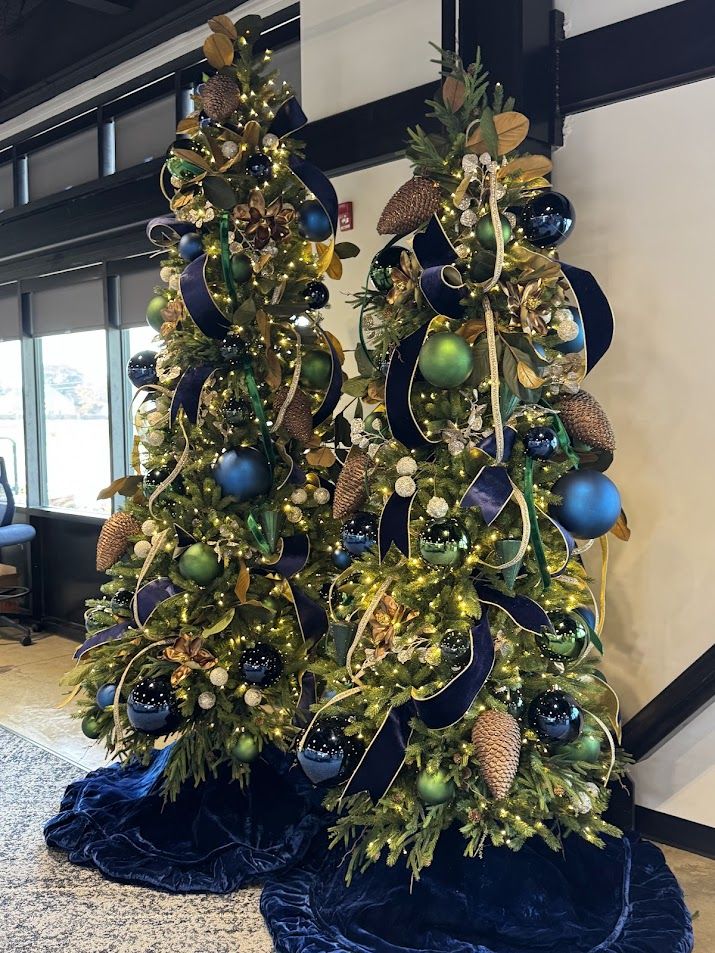 Navy, green and gold decorated Christmas trees in a lobby